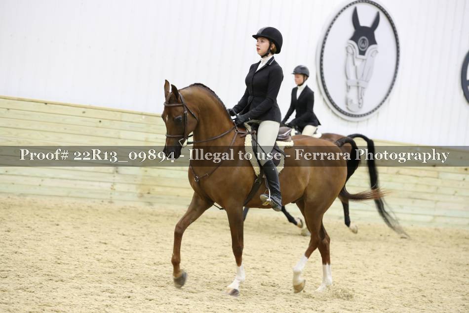Proof 22R13_09894