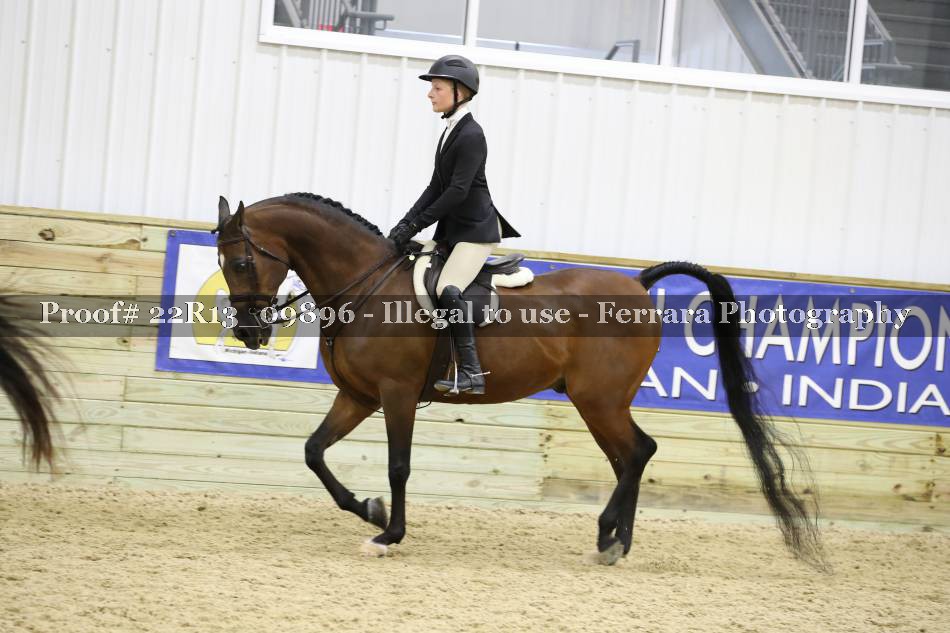 Proof 22R13_09896