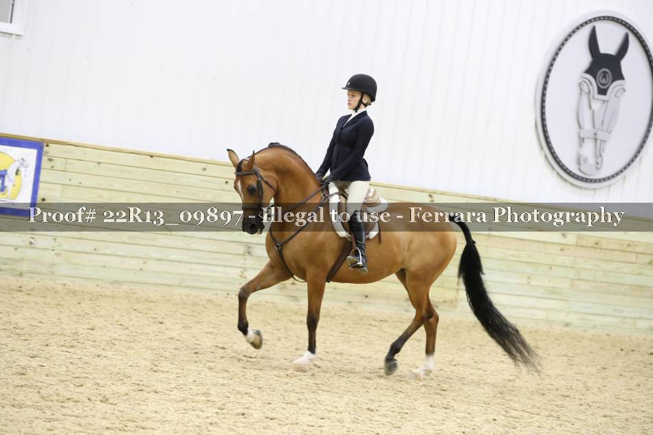 Proof 22R13_09897