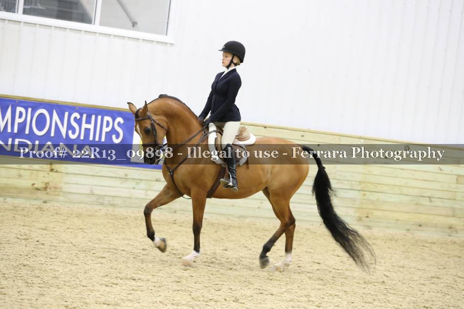 Proof 22R13_09898