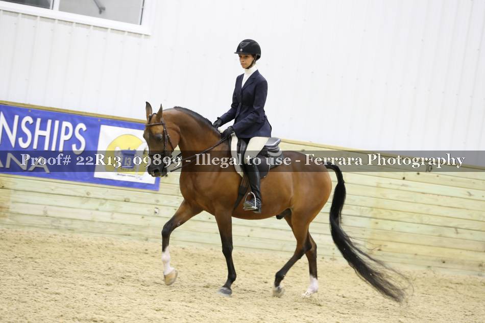 Proof 22R13_09899