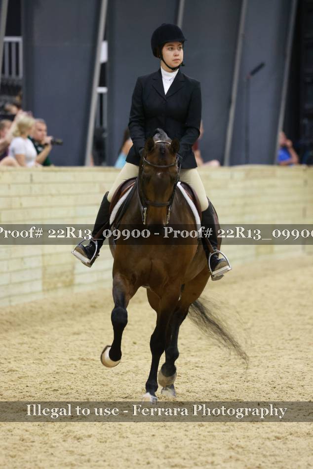 Proof 22R13_09900