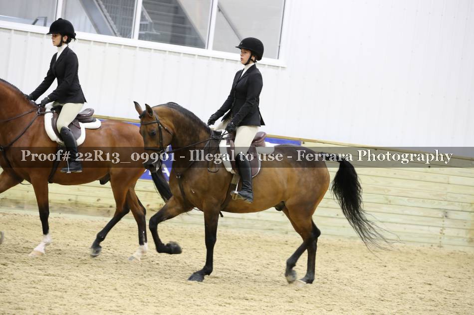 Proof 22R13_09901