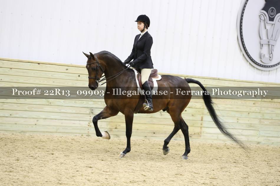 Proof 22R13_09903