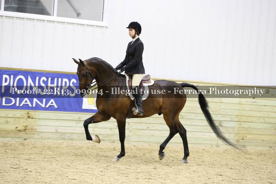 Proof 22R13_09904
