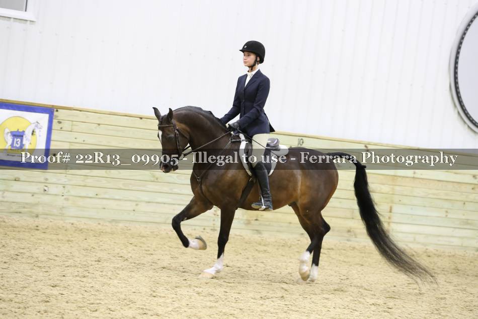 Proof 22R13_09905
