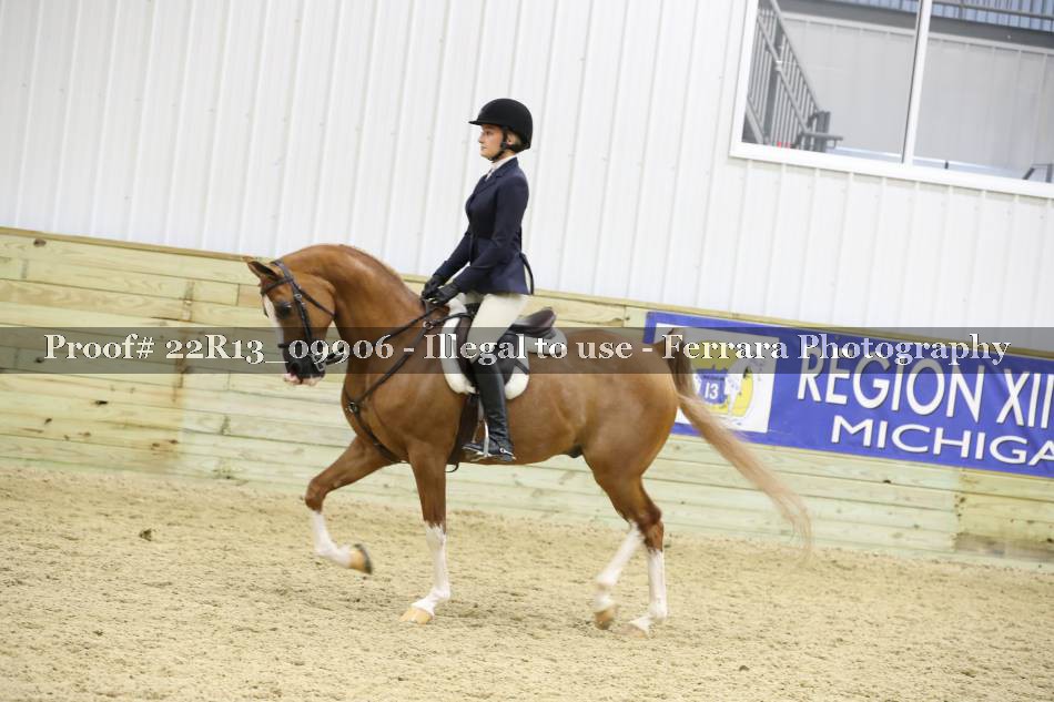 Proof 22R13_09906