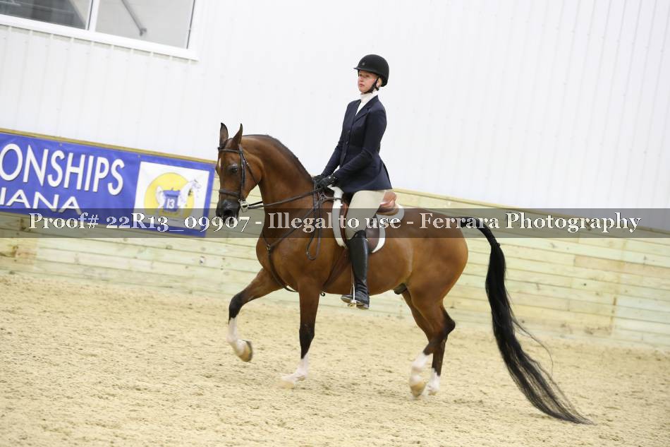 Proof 22R13_09907