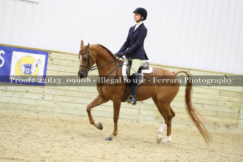 Proof 22R13_09908