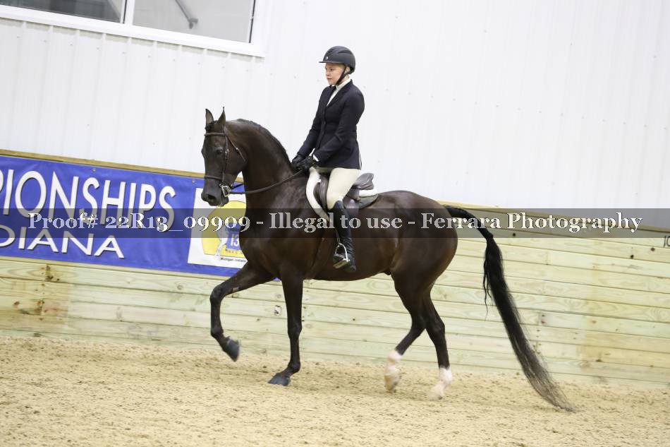 Proof 22R13_09909