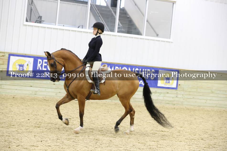 Proof 22R13_09910