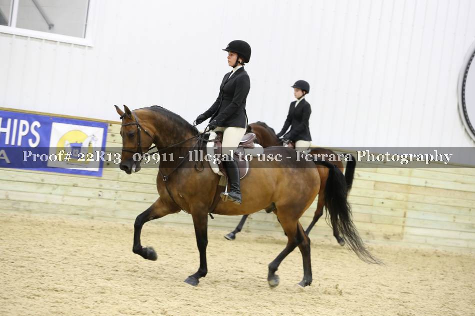 Proof 22R13_09911