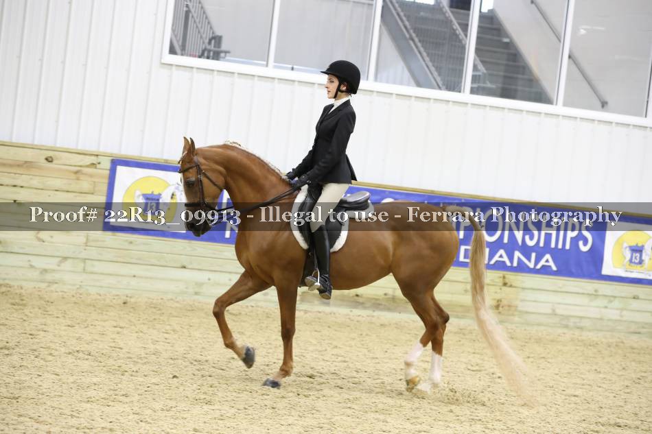 Proof 22R13_09913