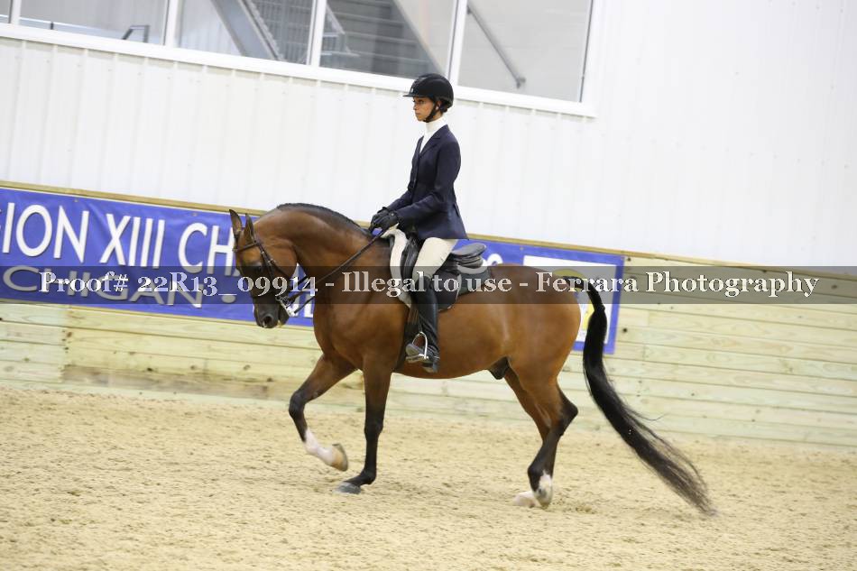 Proof 22R13_09914