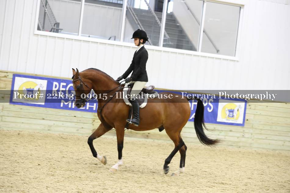 Proof 22R13_09915