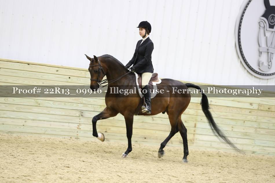 Proof 22R13_09916