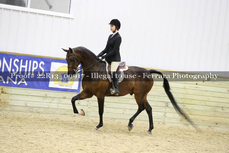 Proof 22R13_09917