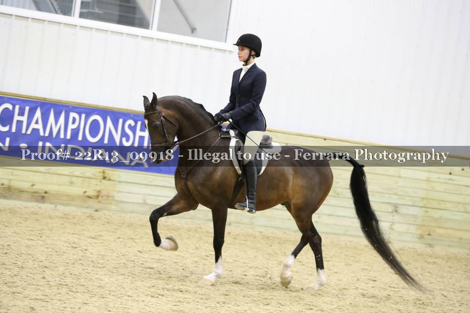 Proof 22R13_09918
