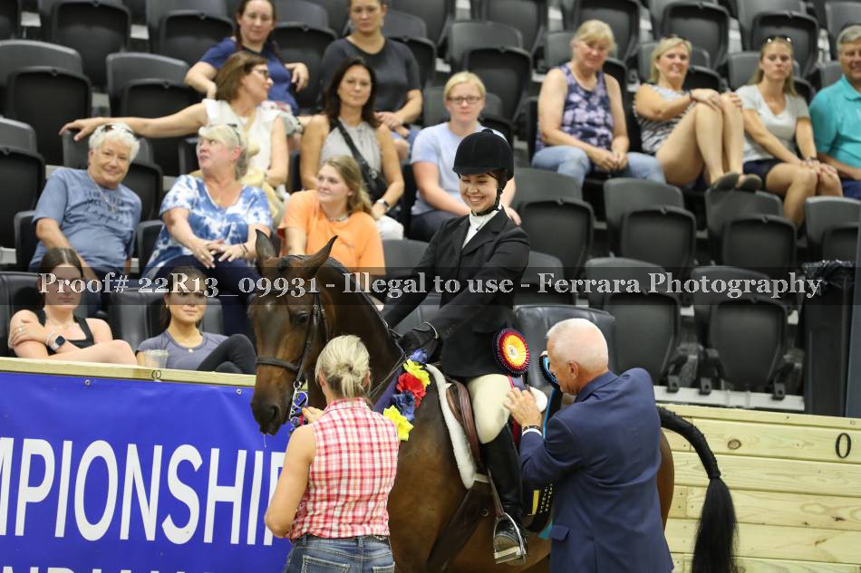 Proof 22R13_09931