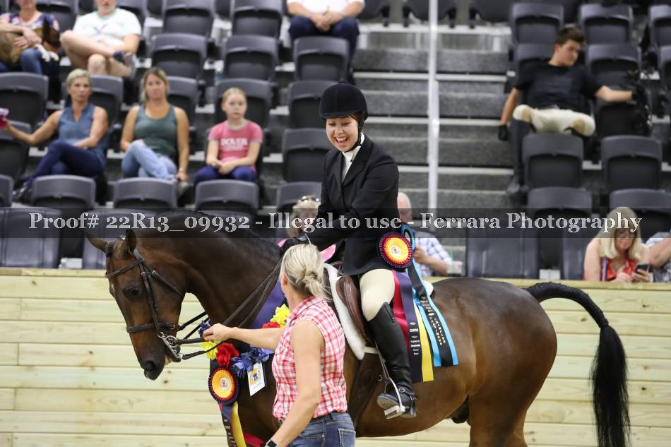 Proof 22R13_09932