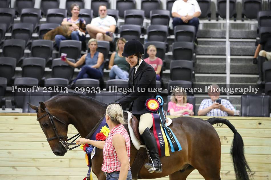 Proof 22R13_09933