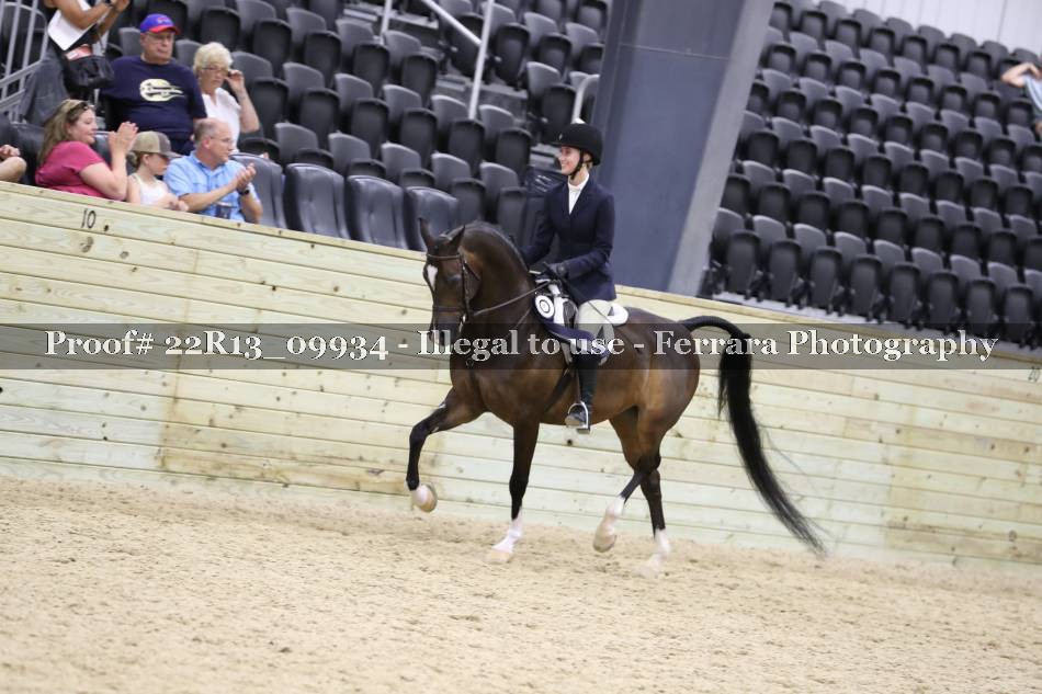 Proof 22R13_09934
