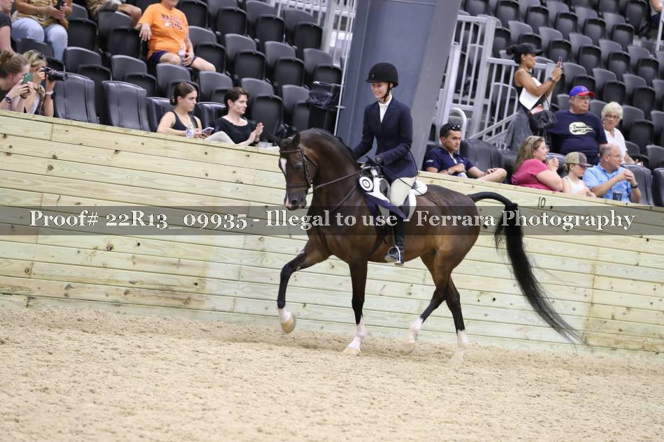 Proof 22R13_09935