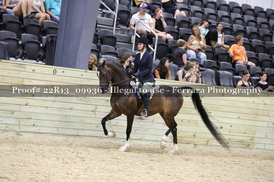 Proof 22R13_09936