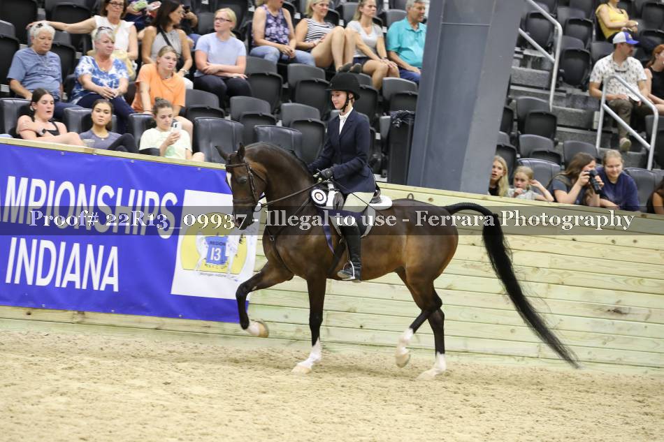 Proof 22R13_09937
