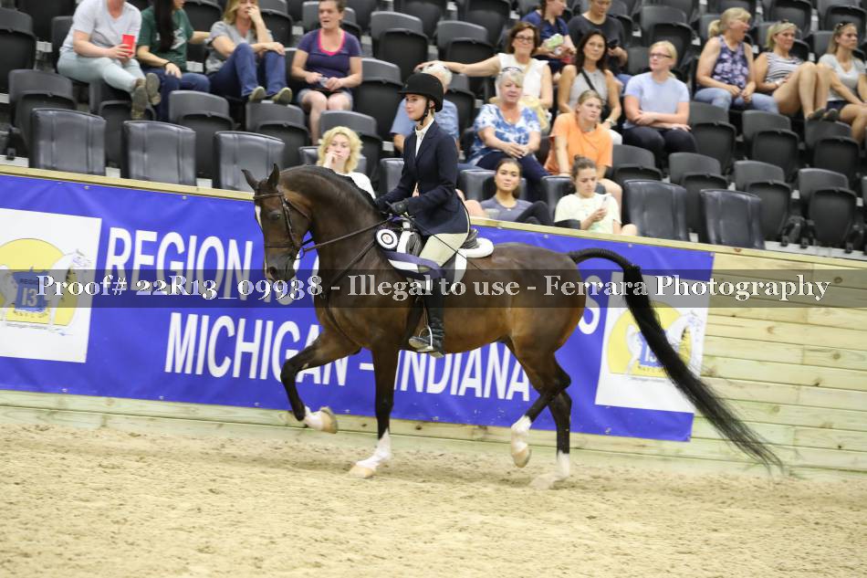 Proof 22R13_09938