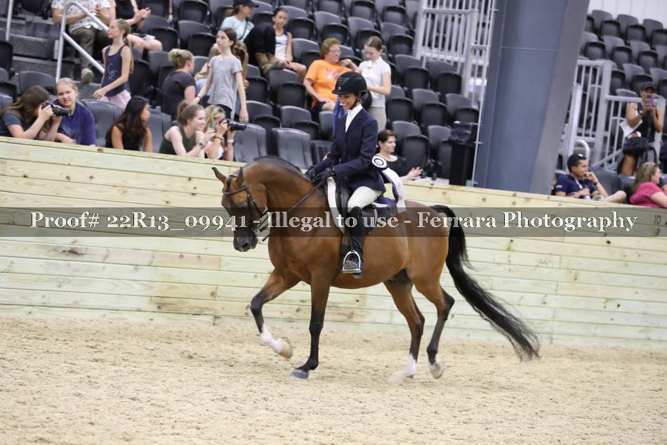 Proof 22R13_09941