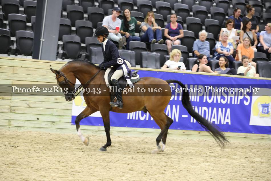 Proof 22R13_09943