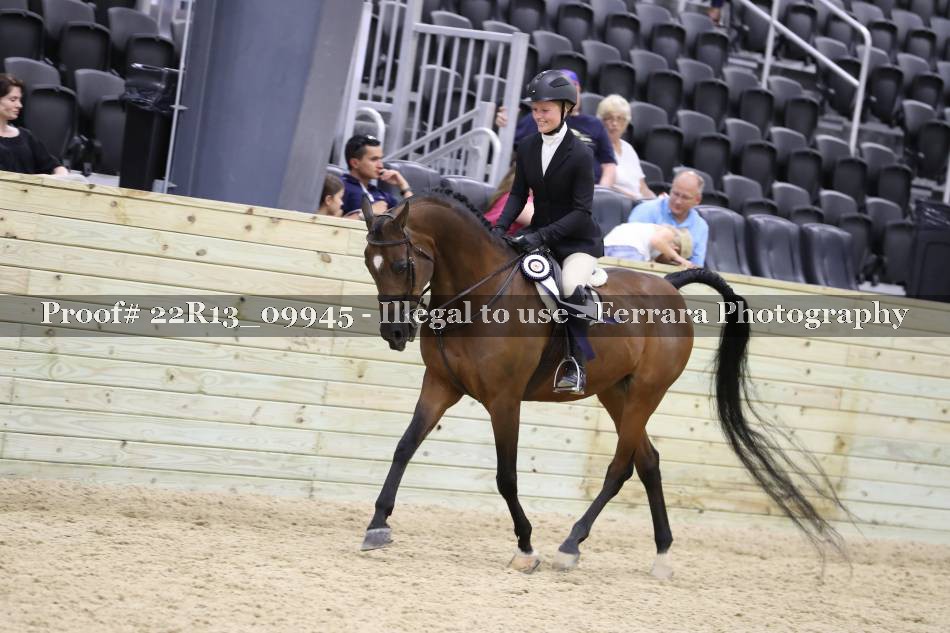 Proof 22R13_09945
