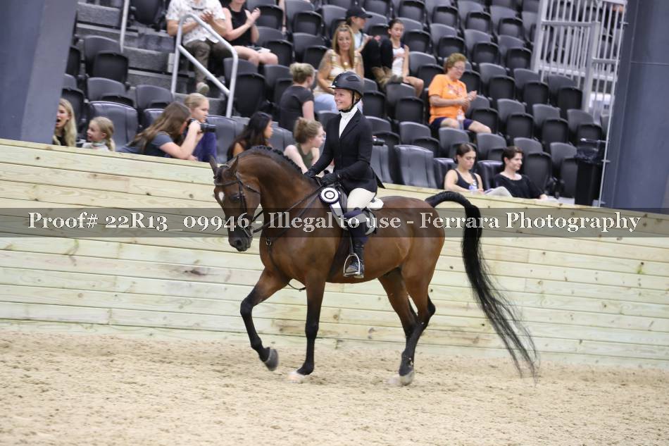 Proof 22R13_09946