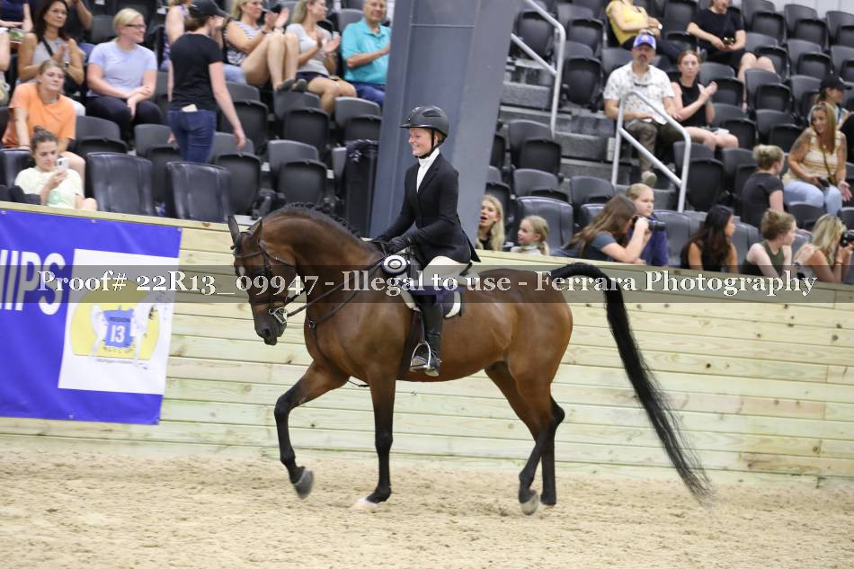 Proof 22R13_09947