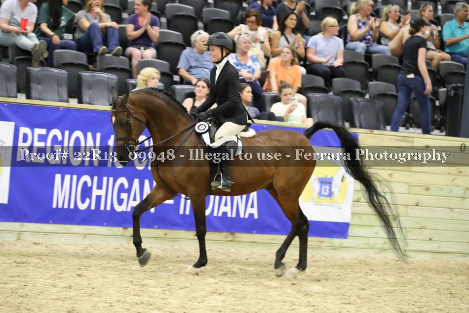 Proof 22R13_09948
