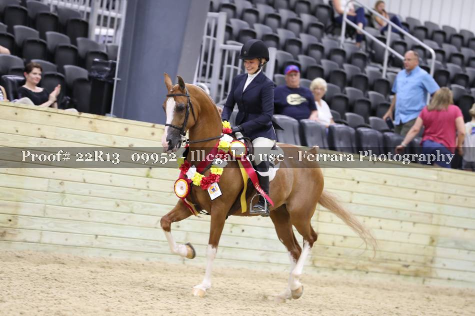 Proof 22R13_09952