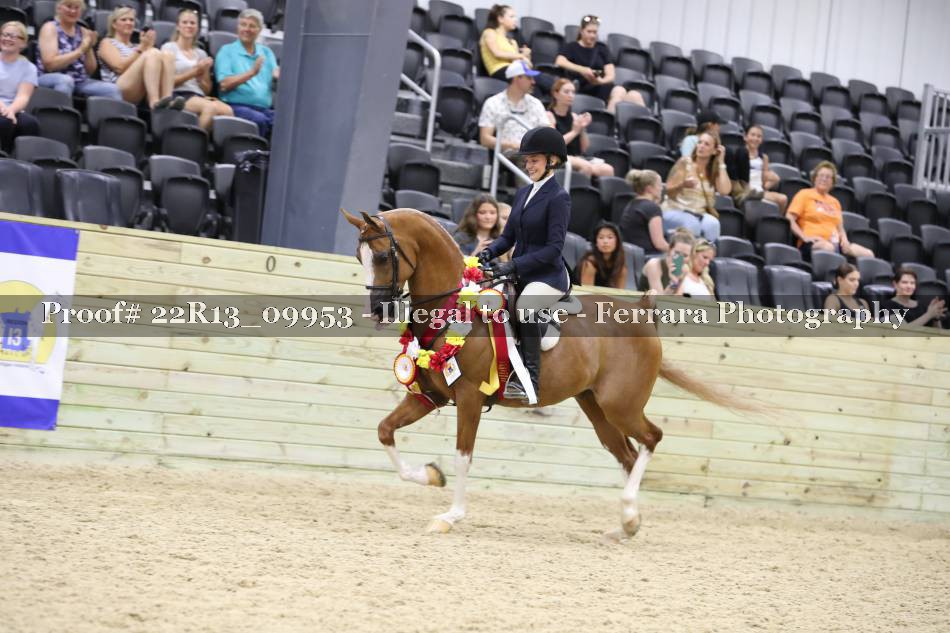 Proof 22R13_09953