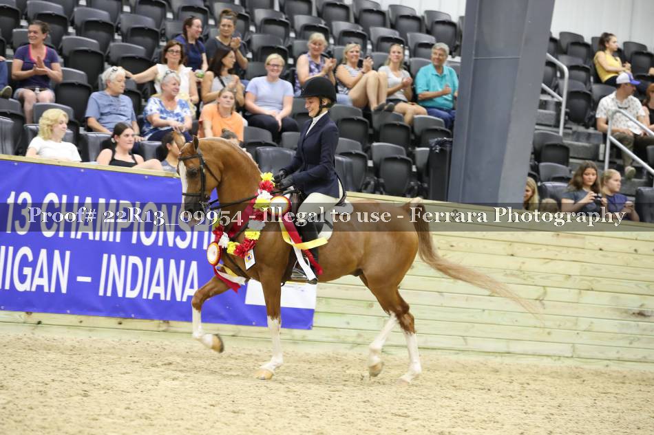 Proof 22R13_09954