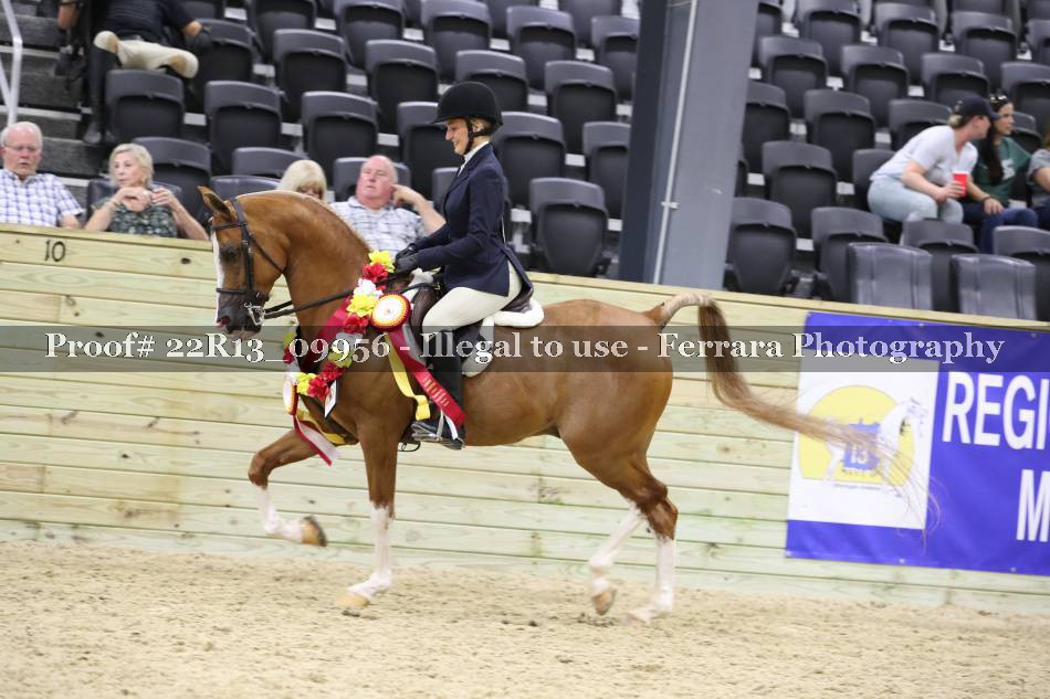 Proof 22R13_09956
