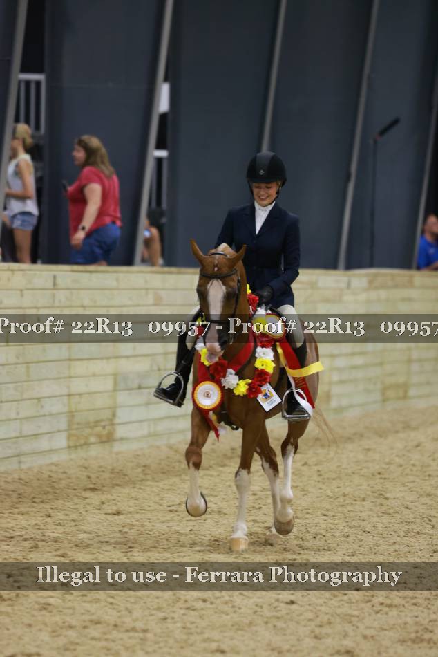 Proof 22R13_09957