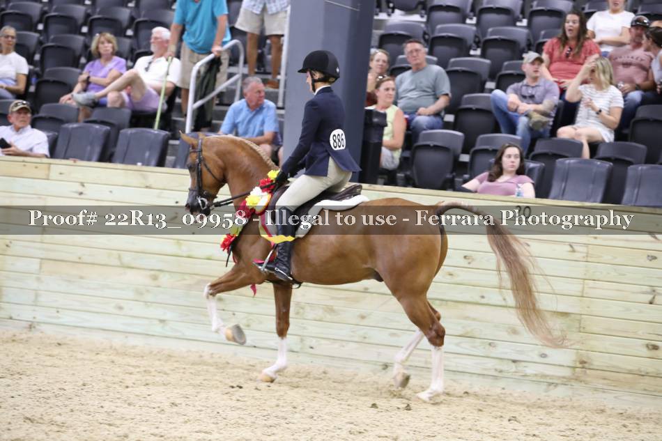 Proof 22R13_09958