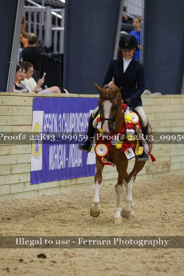 Proof 22R13_09959