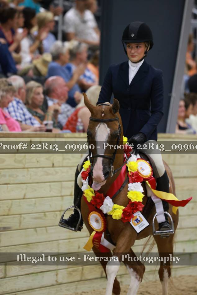 Proof 22R13_09960