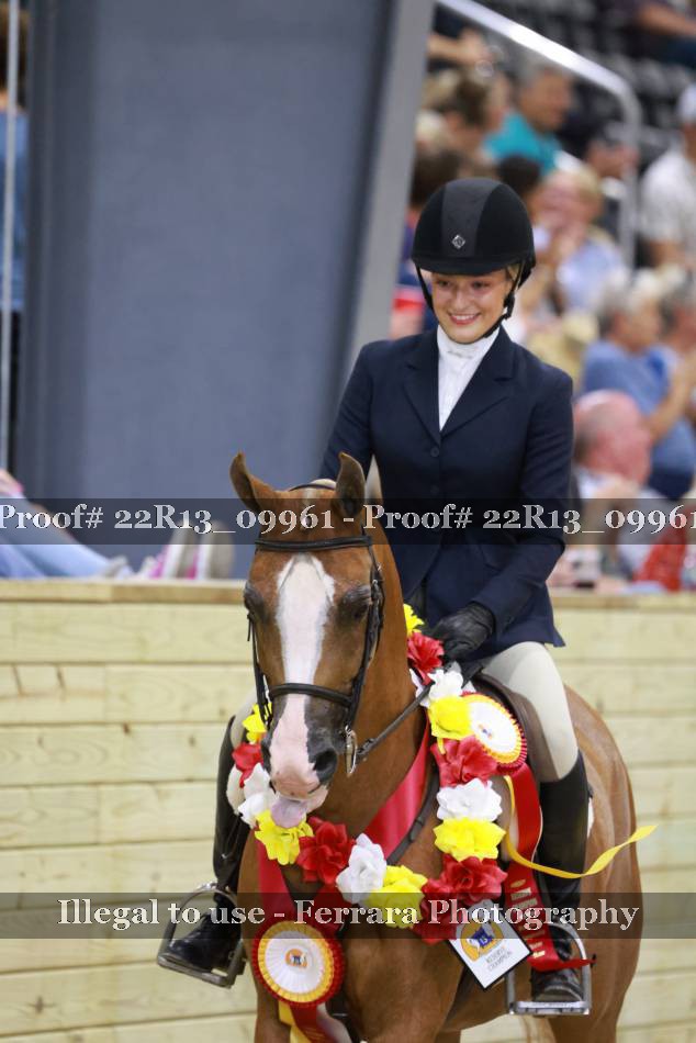 Proof 22R13_09961
