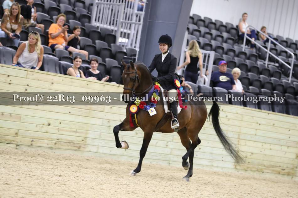 Proof 22R13_09963