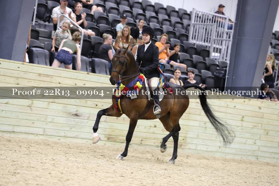 Proof 22R13_09964