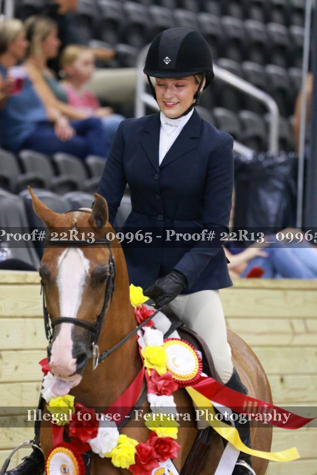Proof 22R13_09965