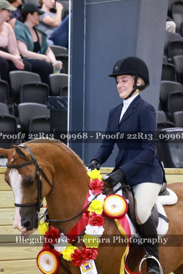Proof 22R13_09968