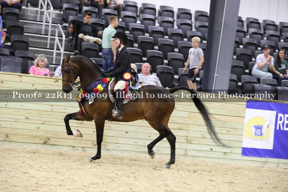 Proof 22R13_09969